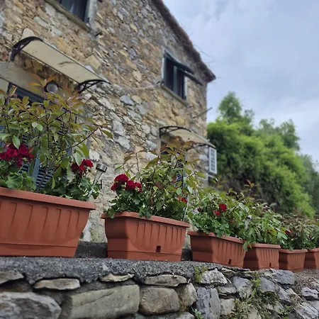 Dependance Del Borgo Cinque Terre San Benedetto (Liguria)